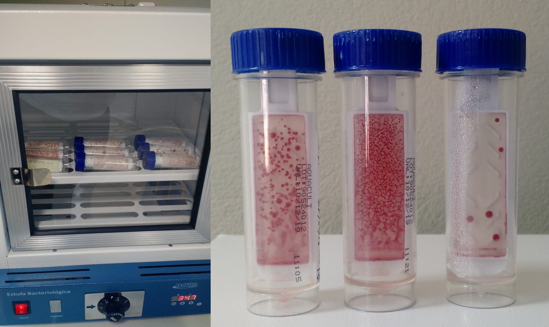 Controle_Microbiológico_Torre 2.jpg