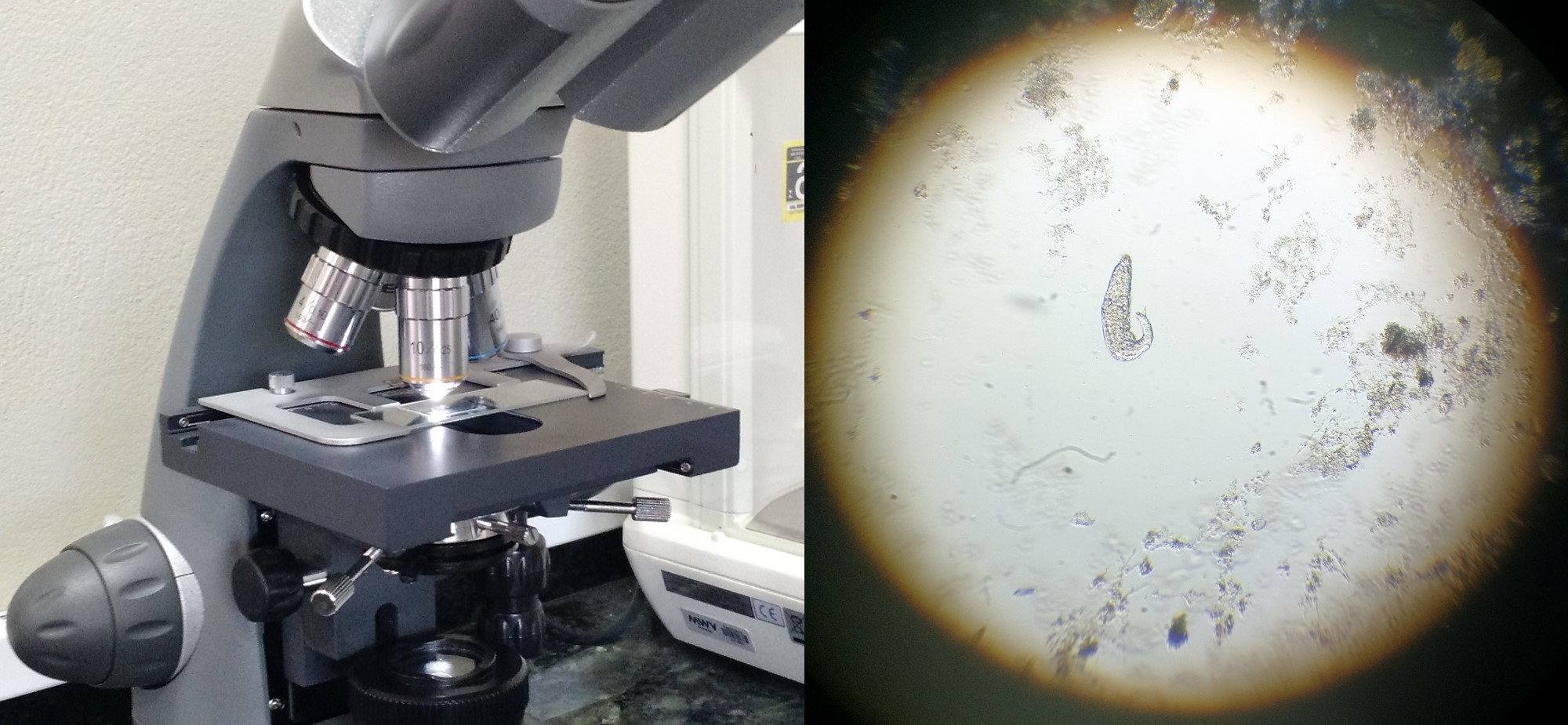 ETE_Tanque de Aeração.jpg